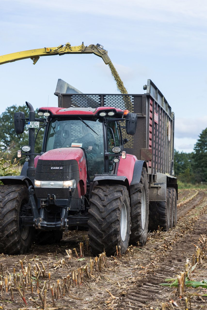 Bild 120 - Maisernte